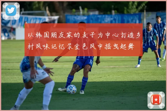 以韩国朋友家的麦子为中心打造乡村风味记忆录金色风中摇曳起舞