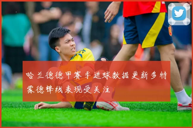 哈兰德德甲赛季进球数据更新多特蒙德锋线表现受关注
