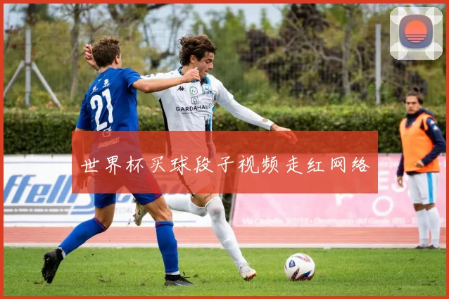 世界杯买球段子视频走红网络