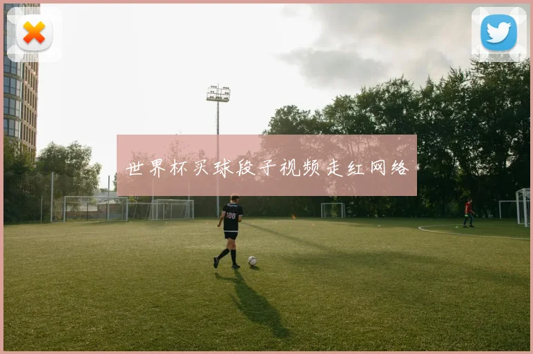 世界杯买球段子视频走红网络