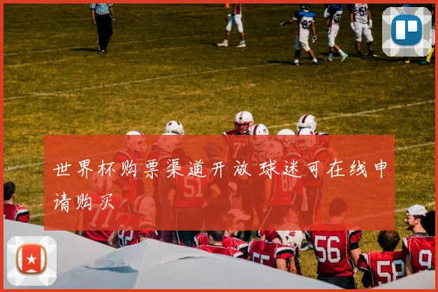 世界杯购票渠道开放 球迷可在线申请购买